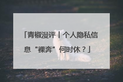 青椒漫评丨个人隐私信息“裸奔”何时休？
