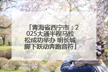 青海省西宁市：2025大通半程马拉松成功举办 明长城脚下跃动奔跑音符