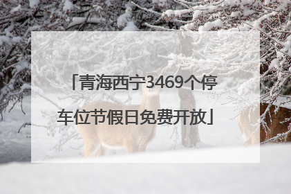 青海西宁3469个停车位节假日免费开放