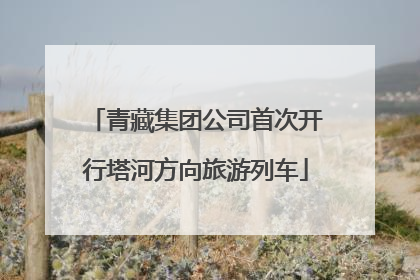青藏集团公司首次开行塔河方向旅游列车