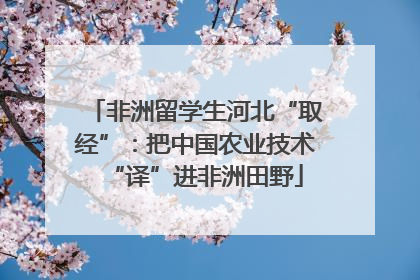 非洲留学生河北“取经”：把中国农业技术“译”进非洲田野