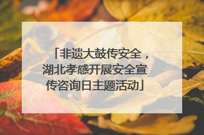 非遗大鼓传安全，湖北孝感开展安全宣传咨询日主题活动