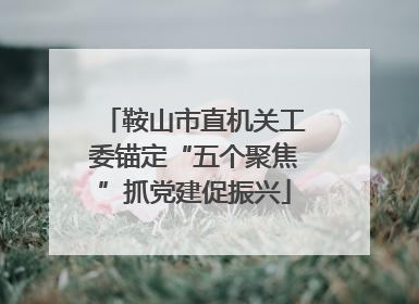 鞍山市直机关工委锚定“五个聚焦”抓党建促振兴