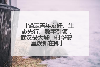 锚定青年友好、生态先行、数字引领，武汉最大城中村华安里焕新在即
