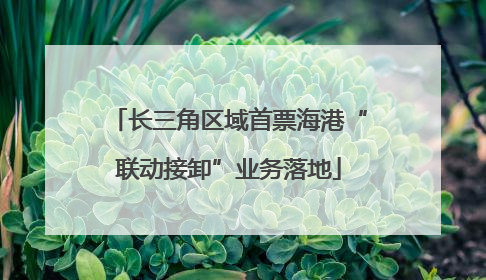 长三角区域首票海港“联动接卸”业务落地