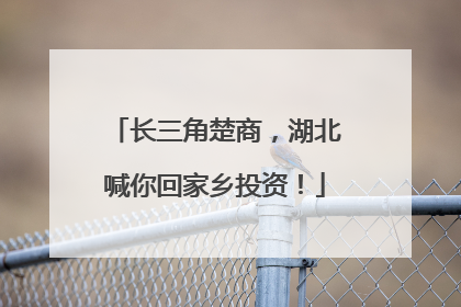 长三角楚商，湖北喊你回家乡投资！
