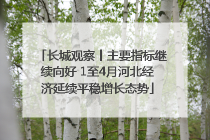 长城观察丨主要指标继续向好 1至4月河北经济延续平稳增长态势