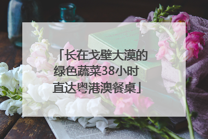 长在戈壁大漠的绿色蔬菜38小时直达粤港澳餐桌