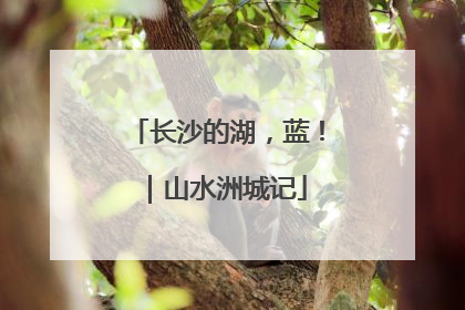 长沙的湖，蓝！｜山水洲城记