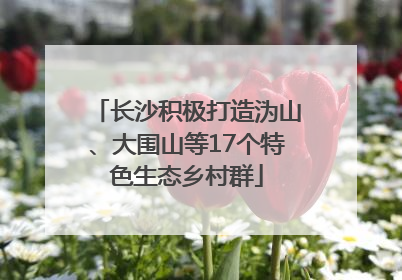 长沙积极打造沩山、大围山等17个特色生态乡村群