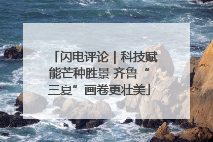 闪电评论｜科技赋能芒种胜景 齐鲁“三夏”画卷更壮美