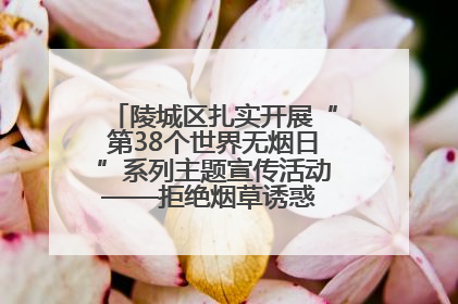 陵城区扎实开展“第38个世界无烟日”系列主题宣传活动——拒绝烟草诱惑 对第一支烟说不