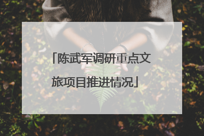 陈武军调研重点文旅项目推进情况