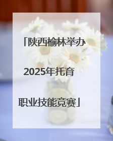 陕西榆林举办2025年托育职业技能竞赛