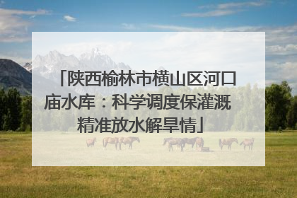 陕西榆林市横山区河口庙水库：科学调度保灌溉 精准放水解旱情