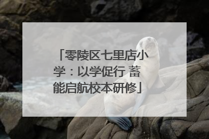 零陵区七里店小学：以学促行 蓄能启航校本研修
