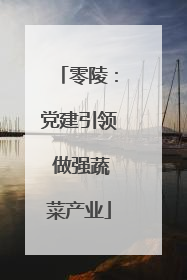 零陵：党建引领 做强蔬菜产业