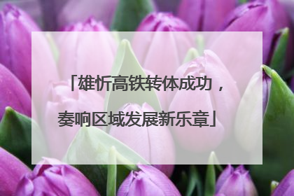 雄忻高铁转体成功，奏响区域发展新乐章