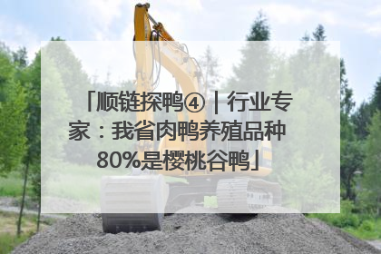 顺链探鸭④｜行业专家：我省肉鸭养殖品种80%是樱桃谷鸭