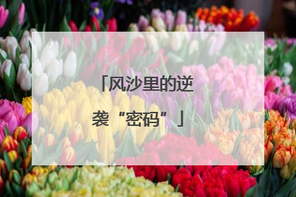 风沙里的逆袭“密码”