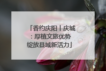 香约庆阳丨庆城：厚植文旅优势 绽放县域新活力