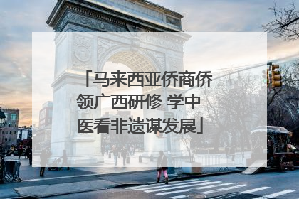 马来西亚侨商侨领广西研修 学中医看非遗谋发展