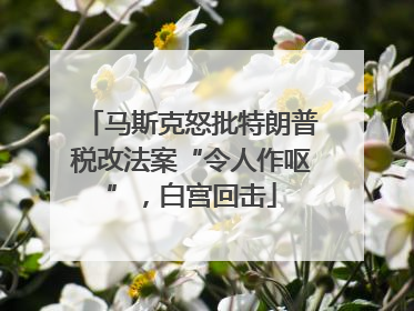 马斯克怒批特朗普税改法案“令人作呕”，白宫回击