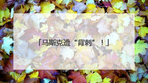 马斯克遭“背刺”！
