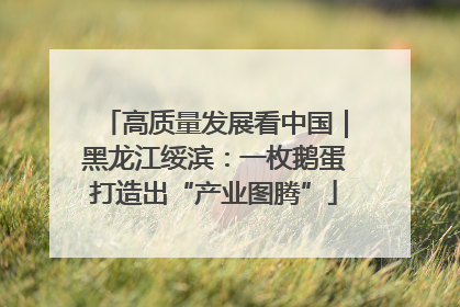 高质量发展看中国｜黑龙江绥滨：一枚鹅蛋打造出“产业图腾”