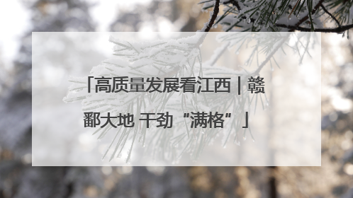 高质量发展看江西｜赣鄱大地 干劲“满格”