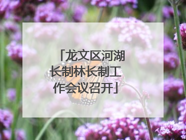 龙文区河湖长制林长制工作会议召开