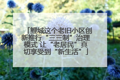 鲤城这个老旧小区创新推行“三三制”治理模式 让“老居民”真切享受到“新生活”