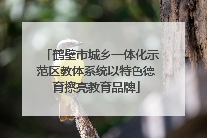 鹤壁市城乡一体化示范区教体系统以特色德育擦亮教育品牌
