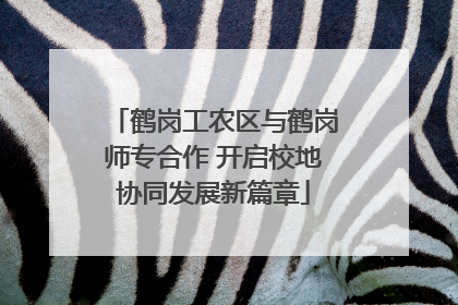 鹤岗工农区与鹤岗师专合作 开启校地协同发展新篇章