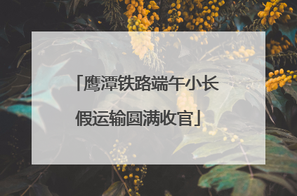 鹰潭铁路端午小长假运输圆满收官
