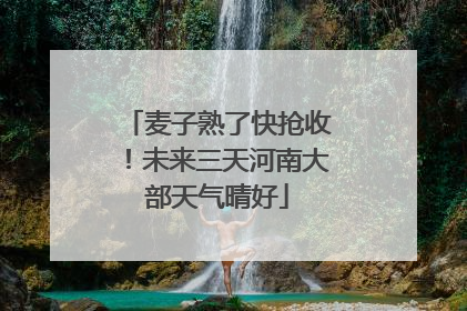 麦子熟了快抢收！未来三天河南大部天气晴好