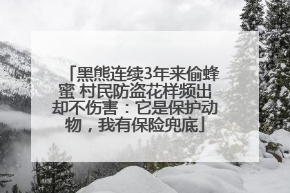 黑熊连续3年来偷蜂蜜 村民防盗花样频出却不伤害：它是保护动物，我有保险兜底