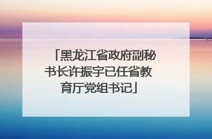 黑龙江省政府副秘书长许振宇已任省教育厅党组书记