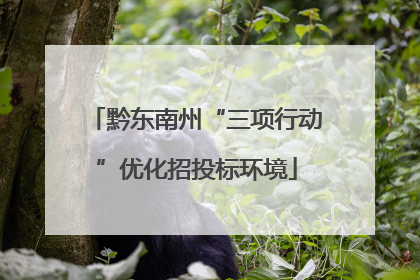 黔东南州“三项行动”优化招投标环境