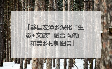 黟县宏潭乡深化“生态+文旅”融合 勾勒和美乡村新图景