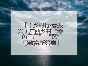 （乡村行·看振兴）广西乡村“绿色工厂” “蔬”写致富新答卷
