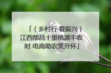 （乡村行·看振兴）江西都昌十里桃源丰收时 电商助农笑开怀