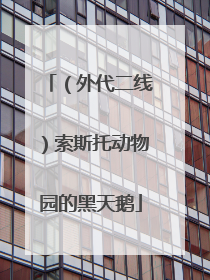 （外代二线）索斯托动物园的黑天鹅