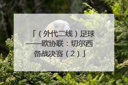 （外代二线）足球——欧协联：切尔西备战决赛（2）