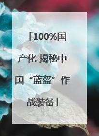 100%国产化 揭秘中国“蓝盔”作战装备