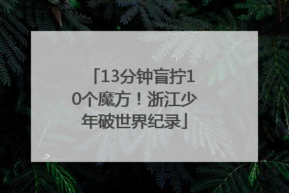 13分钟盲拧10个魔方！浙江少年破世界纪录