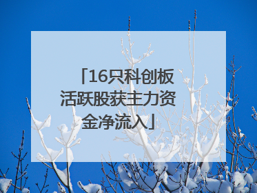 16只科创板活跃股获主力资金净流入