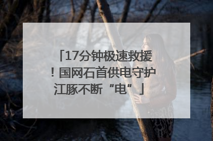 17分钟极速救援！国网石首供电守护江豚不断“电”
