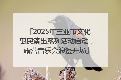 2025年三亚市文化惠民演出系列活动启动，露营音乐会浪漫开场