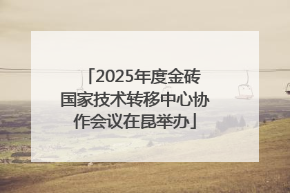 2025年度金砖国家技术转移中心协作会议在昆举办